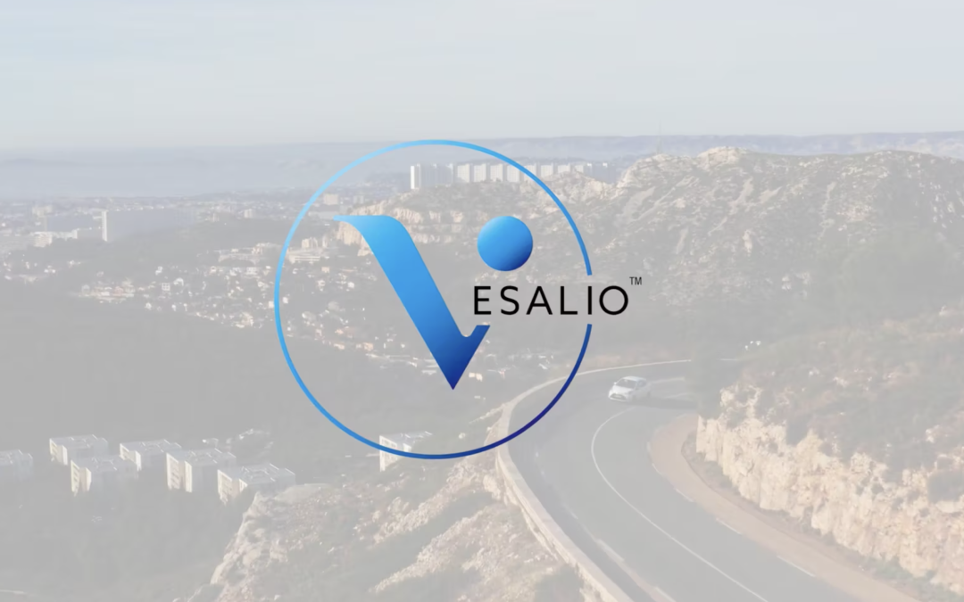 Vesalio: Changing outcomes, changing lives in stroke & vascular occlusion